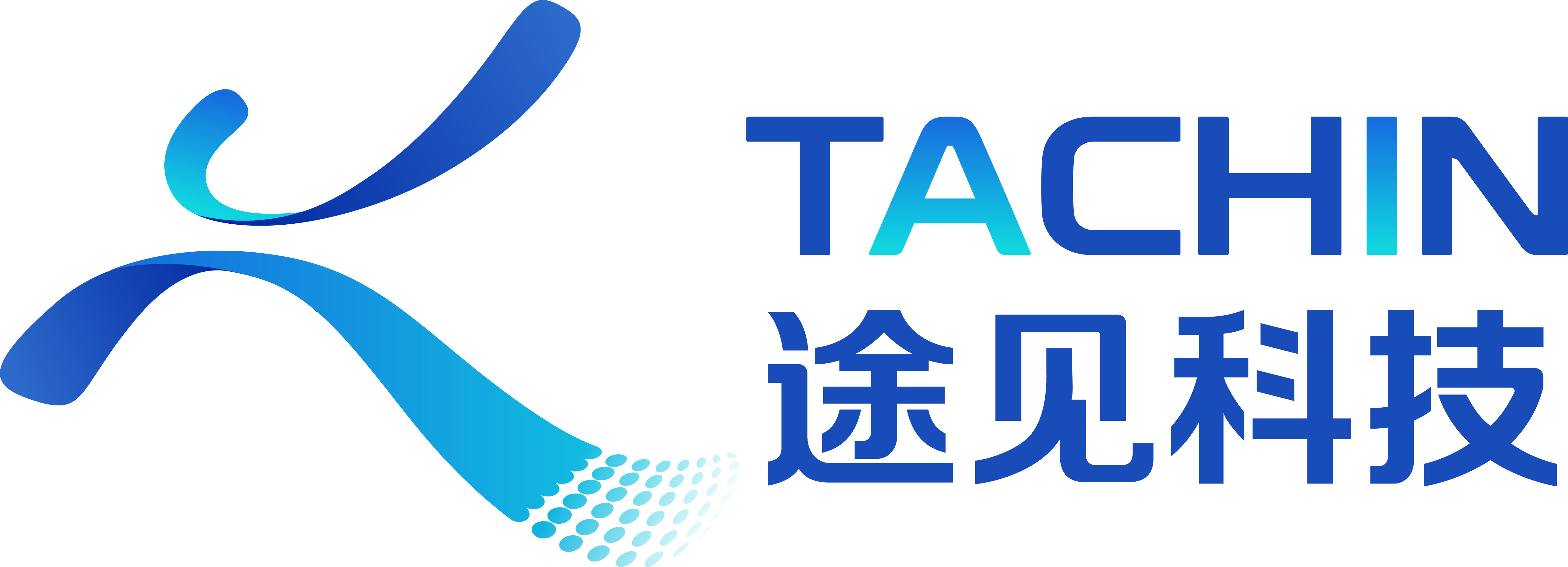 TachinData Logo